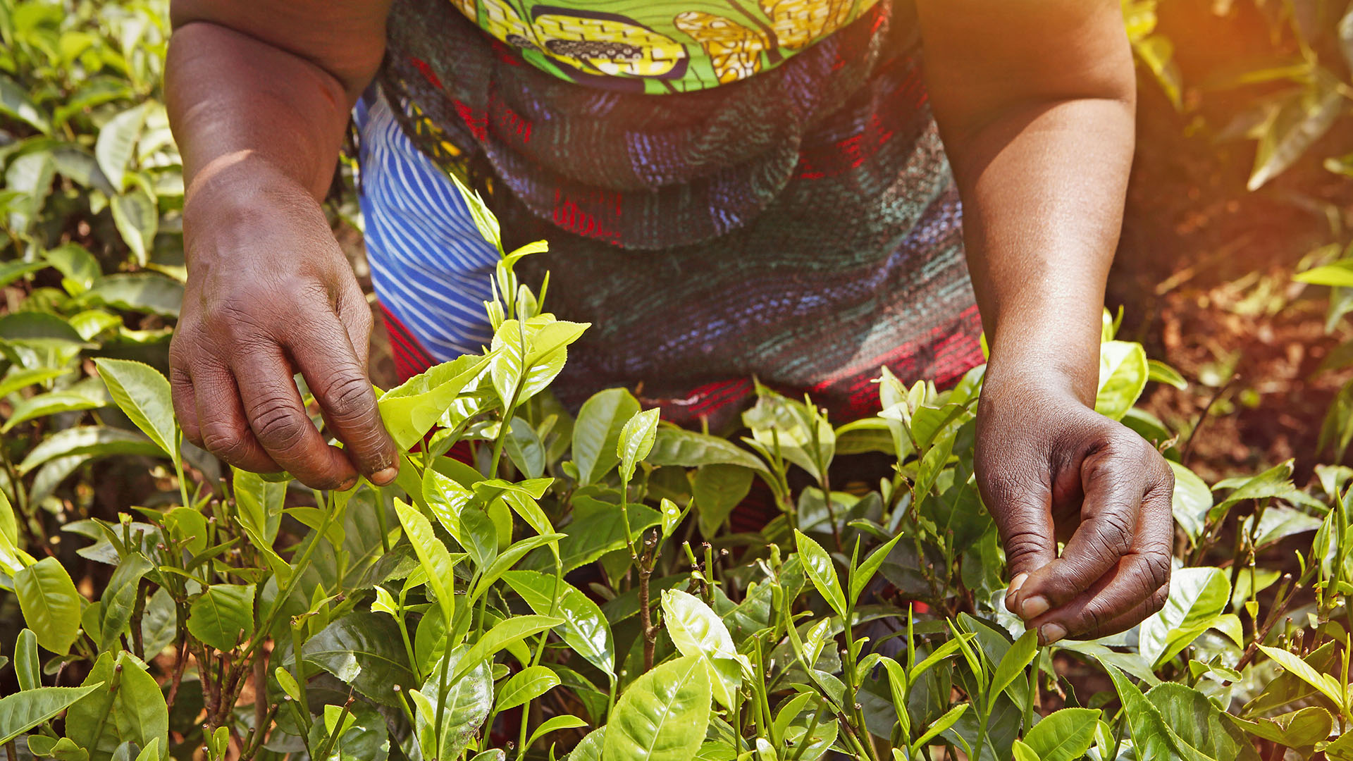 Rwanda: Improving the quality and credibility of climate coverage
